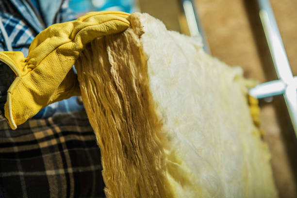 Best Residential Insulation Services  in Hoer, OK